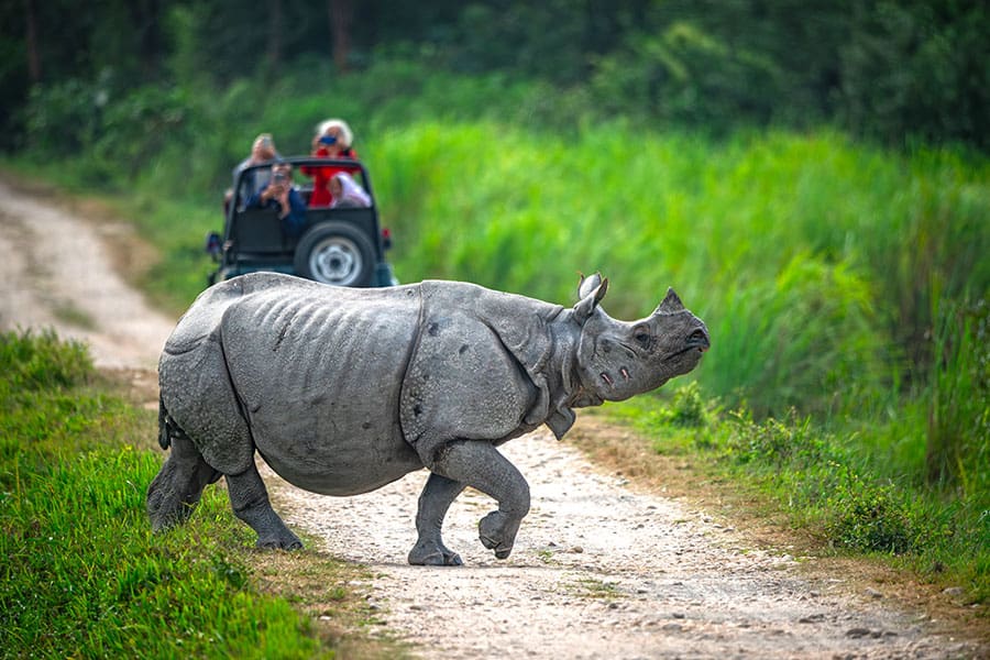 Indian Family Adventure